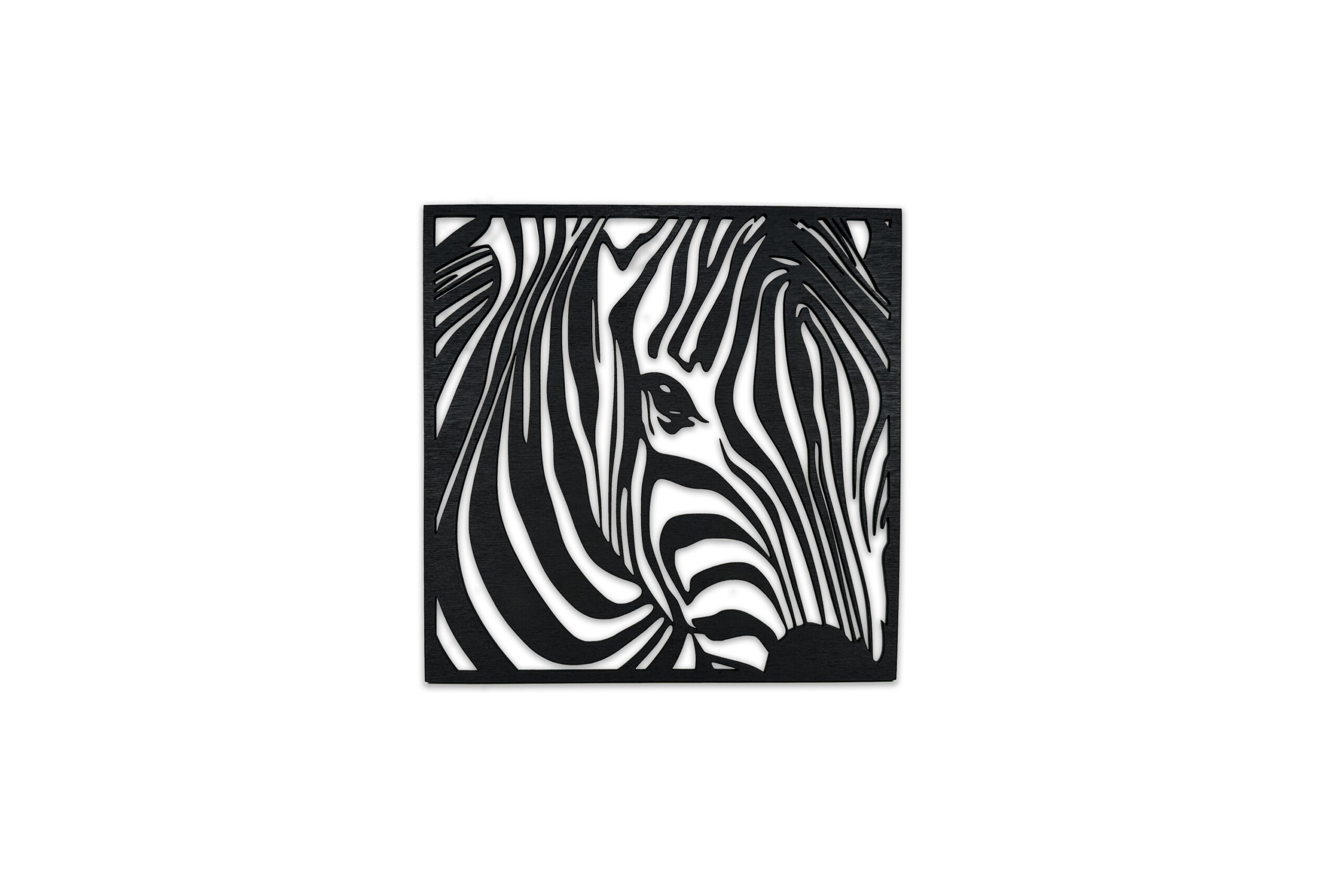 Obraz zebra 2